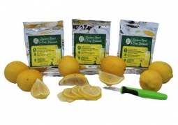 Cup 64 oz Lemon Ice Bucket Lemonade Jug w/ Lid & Handle (24 Count) - Beach  Cities Wholesalers